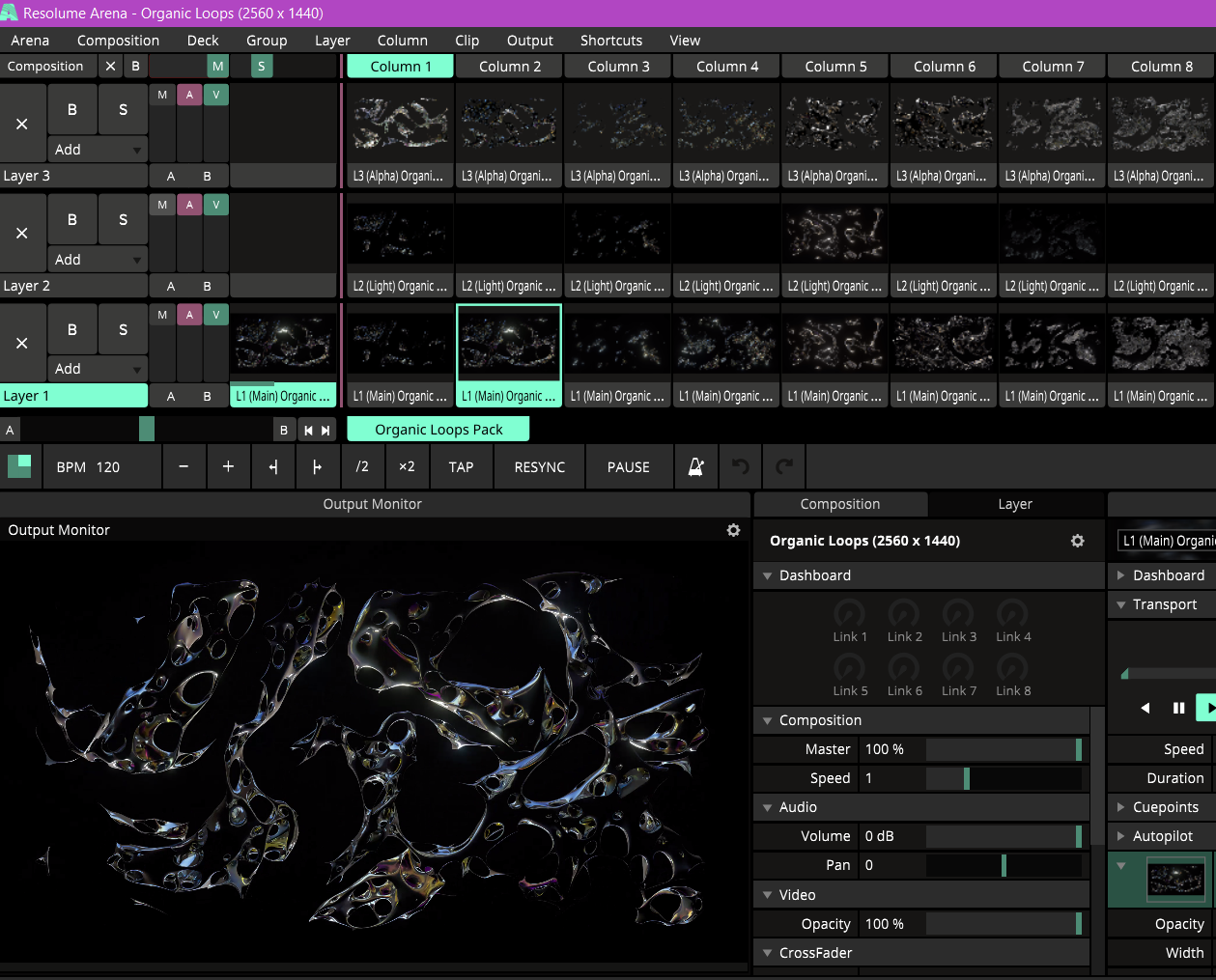 Organic Loops Pack - Image 2